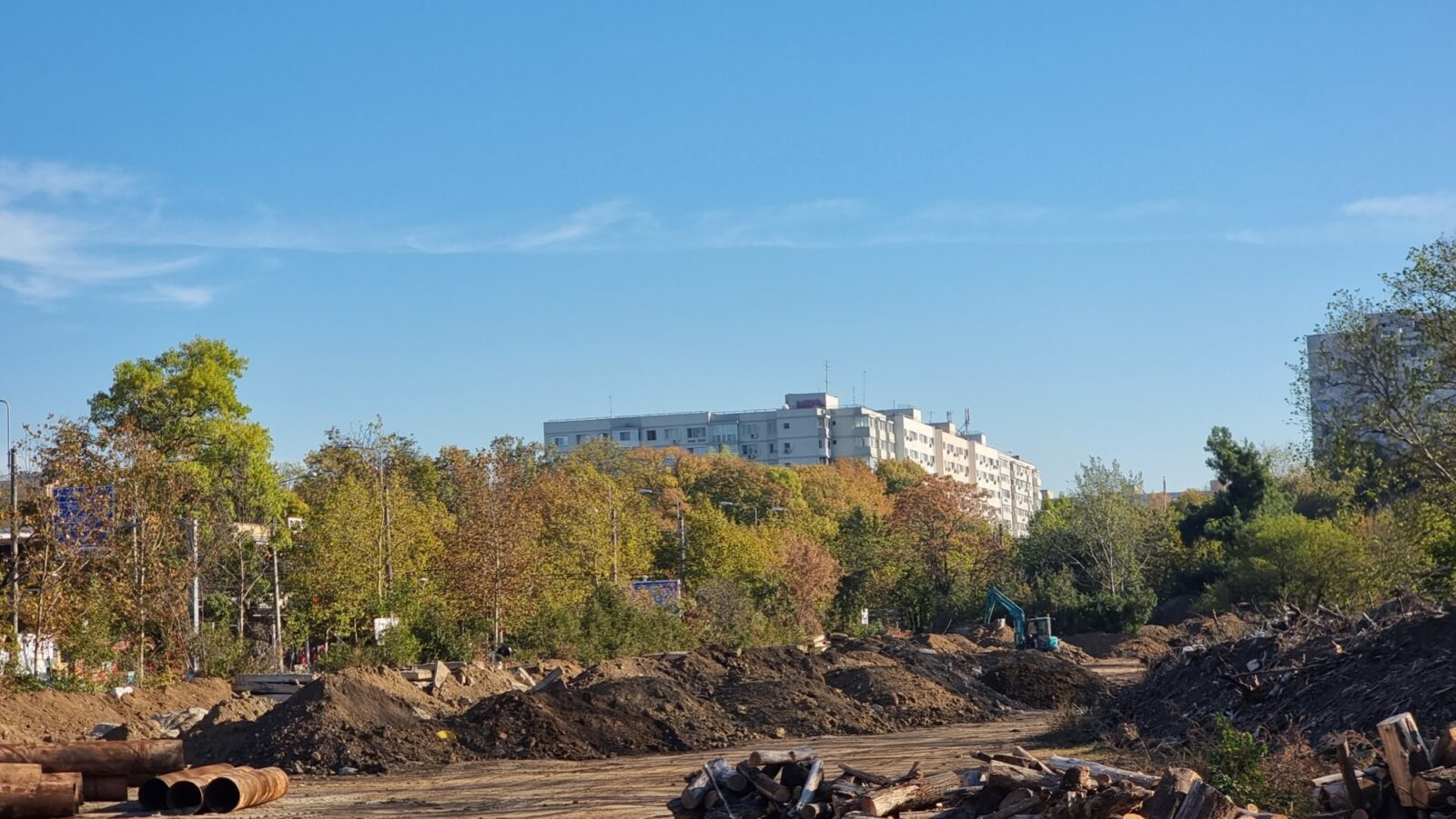 Nicușor Dan anunță noi amenzi pentru tăierile ilegale din Parcul IOR.