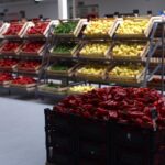 Weekend de Florii în Sectorul 1: tururi ghidate, Piață volantă și concerte. FOTO: Arhiva