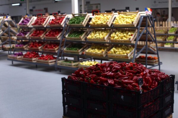 Weekend de Florii în Sectorul 1: tururi ghidate, Piață volantă și concerte. FOTO: Arhiva