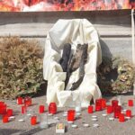 Protest împotriva defrișărilor masive din parcul IOR