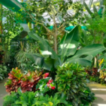 Serele exotice din Parcul Drumul Taberei trec la programul de iarnă. FOTO: Primaria Sector 6