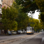 TPBI modifică, astăzi, traseul pentru trei linii de transport in comun. FOTO: TPBI