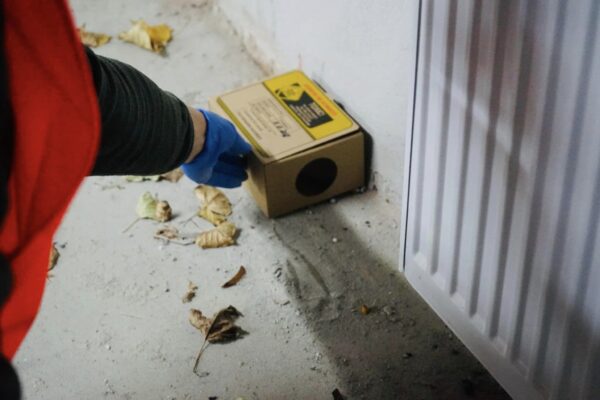 Tratamente împotriva rozătoarelor