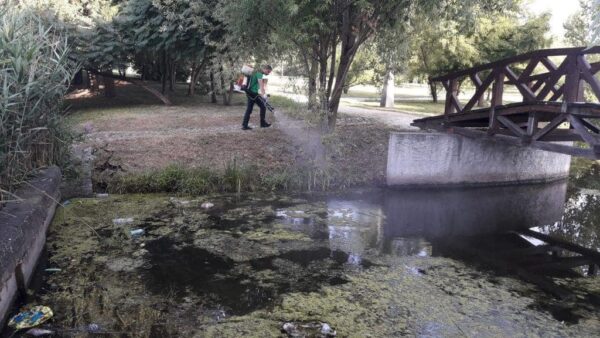 Tratamente împotriva țânțarilor