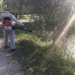 Tratament de dezinsecție împotriva larvelor de țânțari.