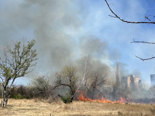 Incendiu în parcul IOR