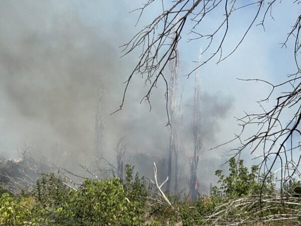 Fum în zona retrocedată, fotografie cu titlu ilustrativ, de la incendiul din 9 septembrie