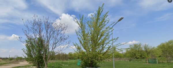Un teren viran din Sectorul 4 ar putea fi transfomat în parc sau pădure urbană. Foto: Google Maps