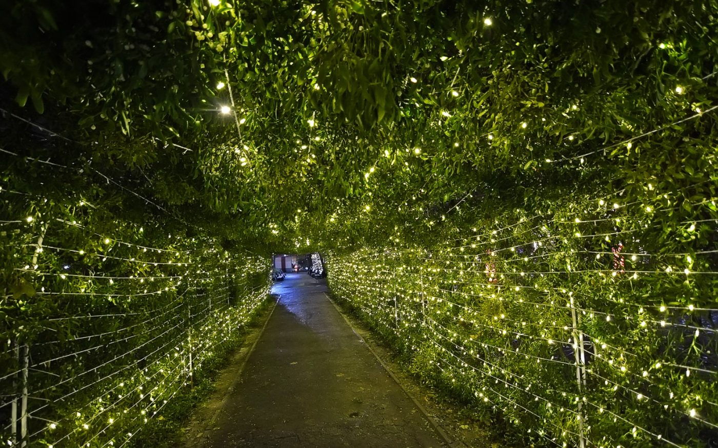 Parcul Kiseleff a devenit o locație instagramabilă. A fost instalată o instalație de vâsc, unică în peisajul bucureșteni. FOTO: PS1