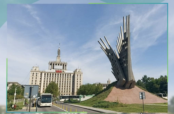 Liniile 103 şi N109