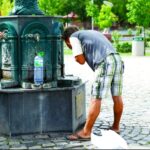 Cod portocaliu de caniculă.