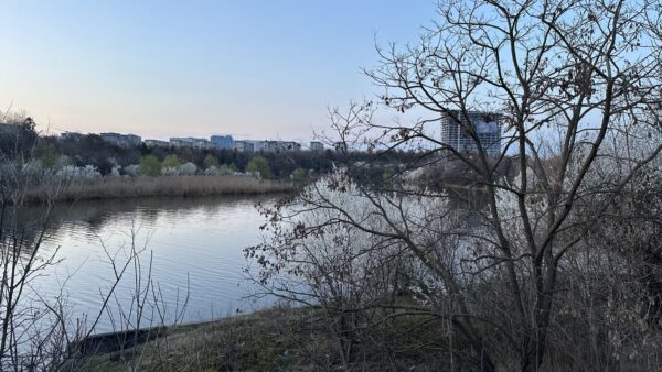 Coridorul Verde Colentina. FOTO: Lacul Tei, via oar.archi
