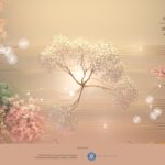 Programul Concursului Internațional George Enescu 2024