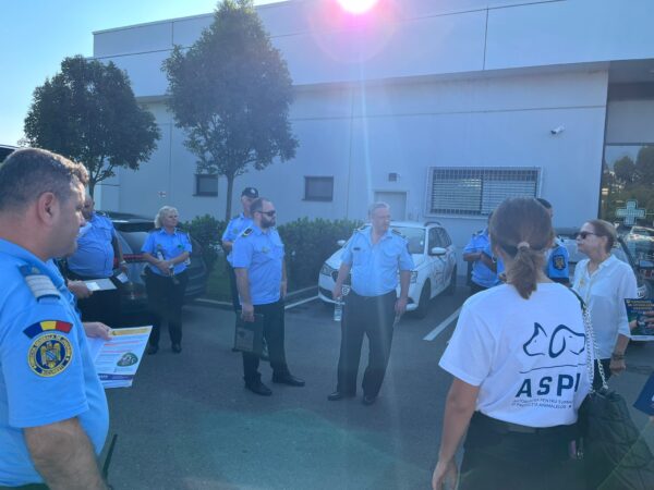 Puţini câini sterilizaţi