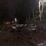 copaci au căzut în București