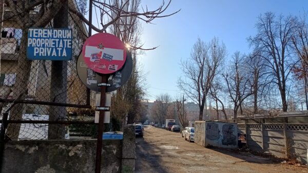 3.000 de arbori uscați, tăiați în Sectorul 2