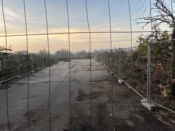 În locul arborilor au fost plantate garduri în zona retrocedată a Parcului IOR