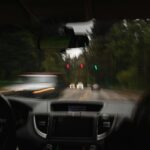 Beat, drogat, fără permis