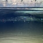 Apele Române se dezic de demersul lui Daniel Băluţă. FOTO: Cătălin Anghel-Dimache