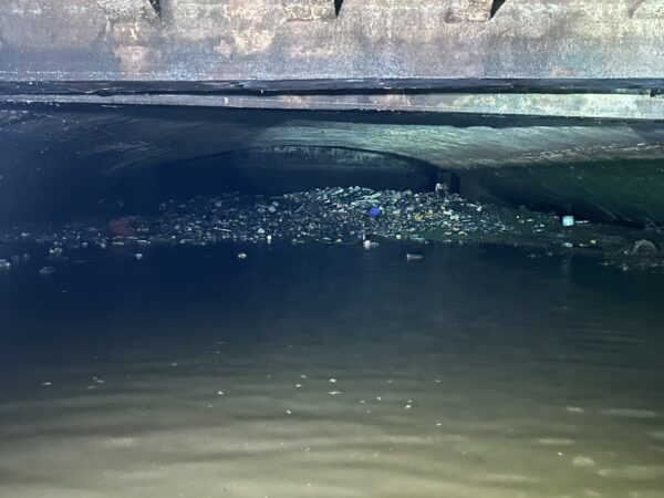 Apele Române se dezic de demersul lui Daniel Băluţă. FOTO: Cătălin Anghel-Dimache