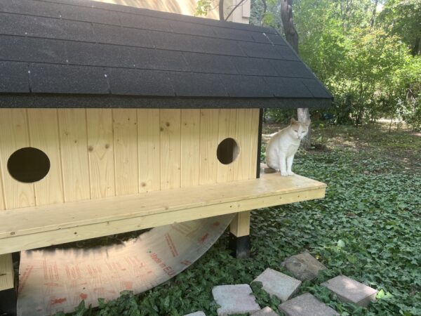 Căsuță pentru pisici, un proiect interesant din Sectorul 6. FOTO: Ana-Anghel Dimache