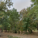 Amenajarea Parcului Verdi este blocată FOTO: Google Maps