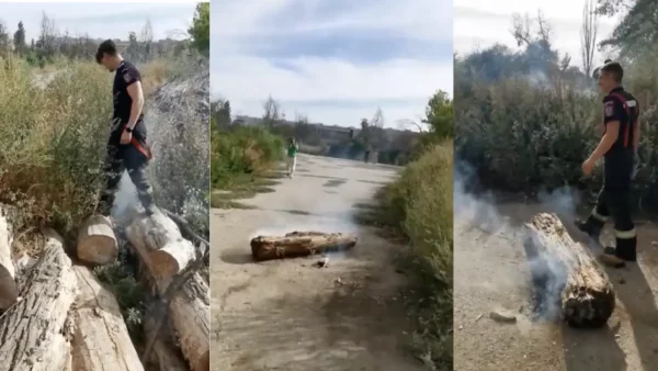 Momentul în care Parcul IOR a fost incendiat cu Poliția și pompierii de față. Capturi video Mihai Goțiu