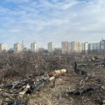 Zona retrocedată a Parcului