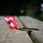 Performanțe sportive premiate