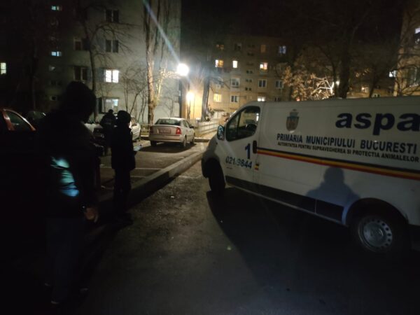 Pui de câine abandonaţi, salvaţi de ASPA. FOTO: FB / ASPA