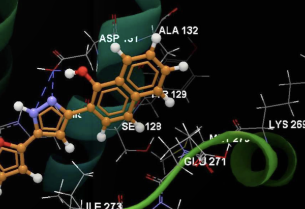 Cercetări pentru noi antibiotice, realizate la București
