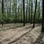 Persoană împușcată