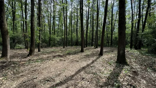 Persoană împușcată