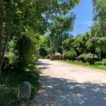 Spațiul verde de la Palatele Brâncovenești amenajat cu peste 2,9 milioane de euro. FOTO: Arhiva