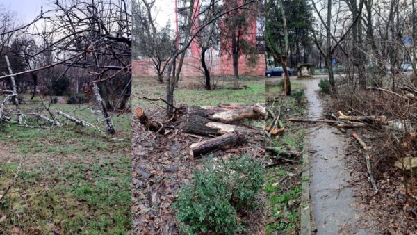 Parcul Brâncuși ar putea avea soarta IOR