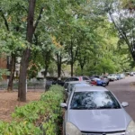 HOTNEWS | Primăria Sectorului 3 taie din grădinile blocurilor ca să facă parcări. Foto Catiușa Ivanov