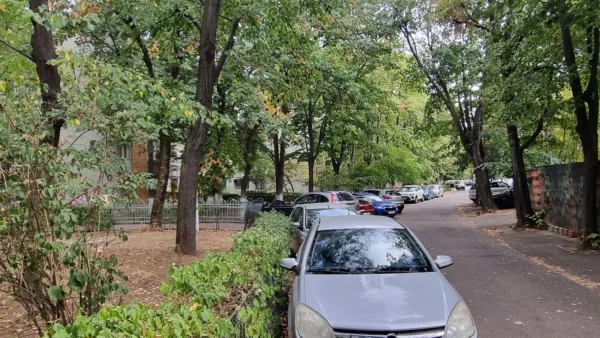 HOTNEWS | Primăria Sectorului 3 taie din grădinile blocurilor ca să facă parcări. Foto Catiușa Ivanov