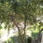 METEO BUCUREȘTI | Vremea va fi frumoasă și caldă, săptămâna viitoare. Maximele termice cresc, până la 32 de grade. FOTO: Arhiva