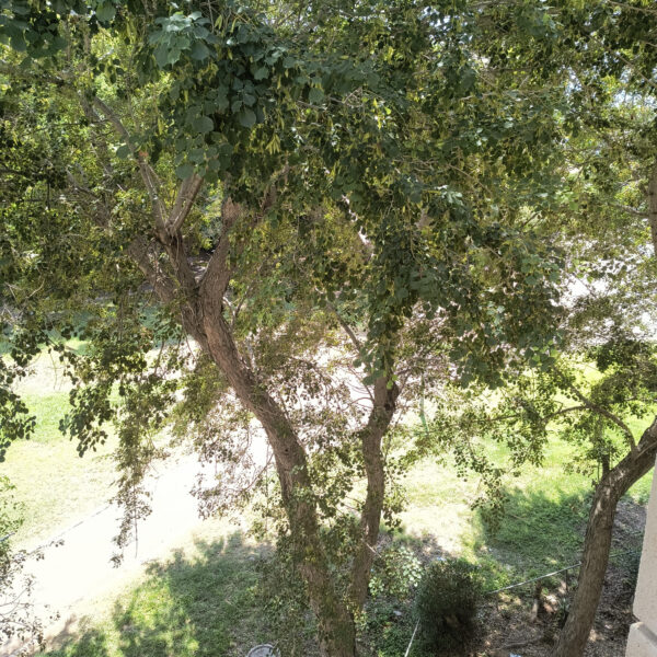 METEO BUCUREȘTI | Vremea va fi frumoasă și caldă, săptămâna viitoare. Maximele termice cresc, până la 32 de grade. FOTO: Arhiva