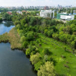 Ecologizarea malurilor Dâmboviţei. Acţiunea este organizată de Asociaţia Parcul Natural Văcăreşti, pe 14 martie.FOTO: Asociația Parcul Natural Văcărești