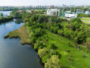 Ecologizarea malurilor Dâmboviţei. Acţiunea este organizată de Asociaţia Parcul Natural Văcăreşti, pe 14 martie.FOTO: Asociația Parcul Natural Văcărești